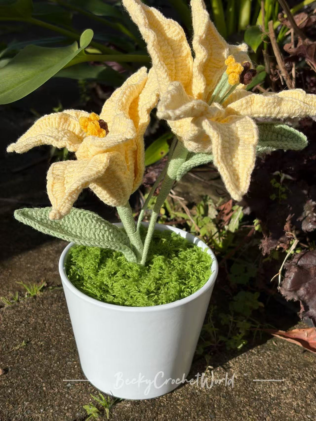 Lily Yellow