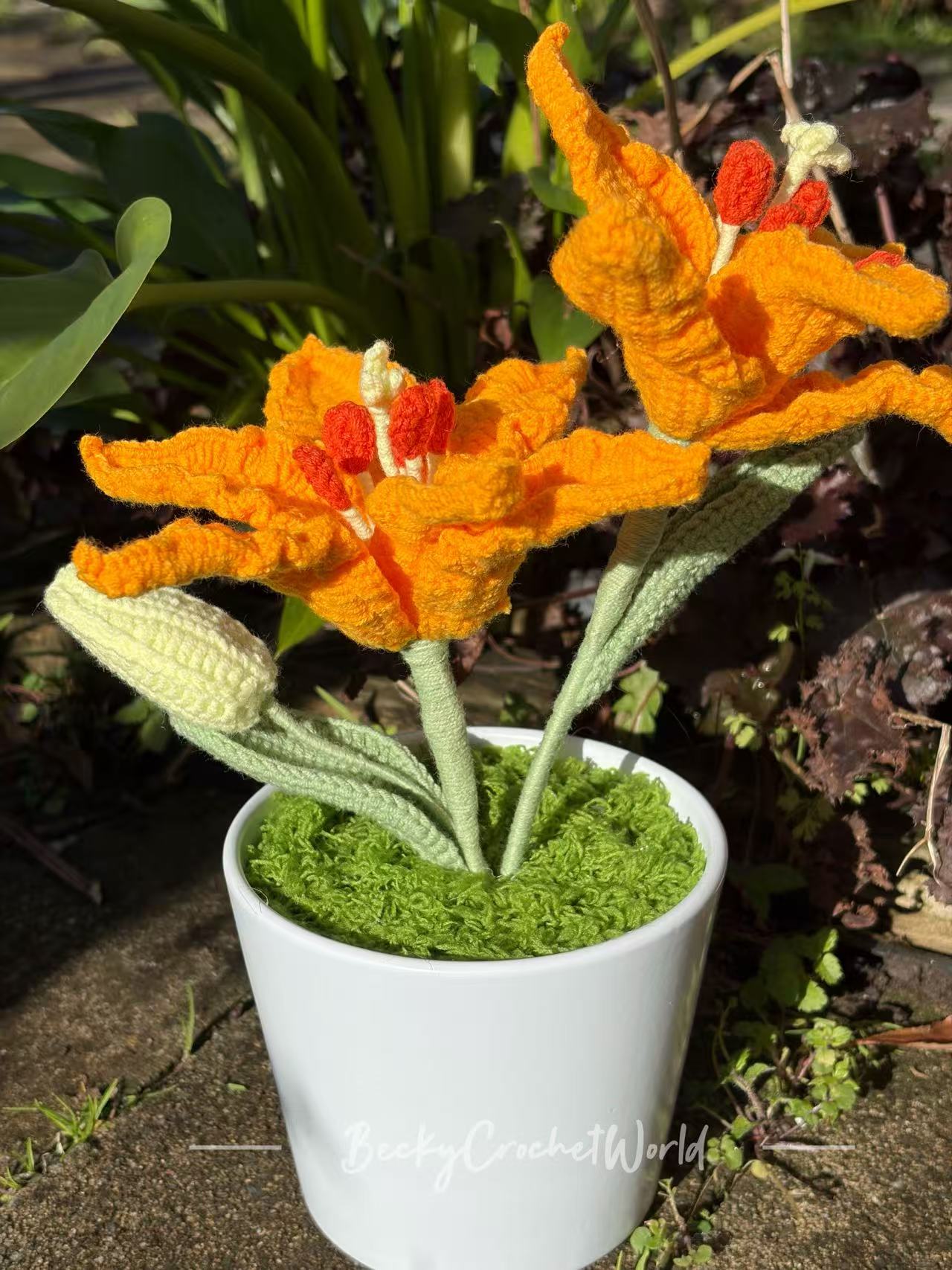Lily Orange
