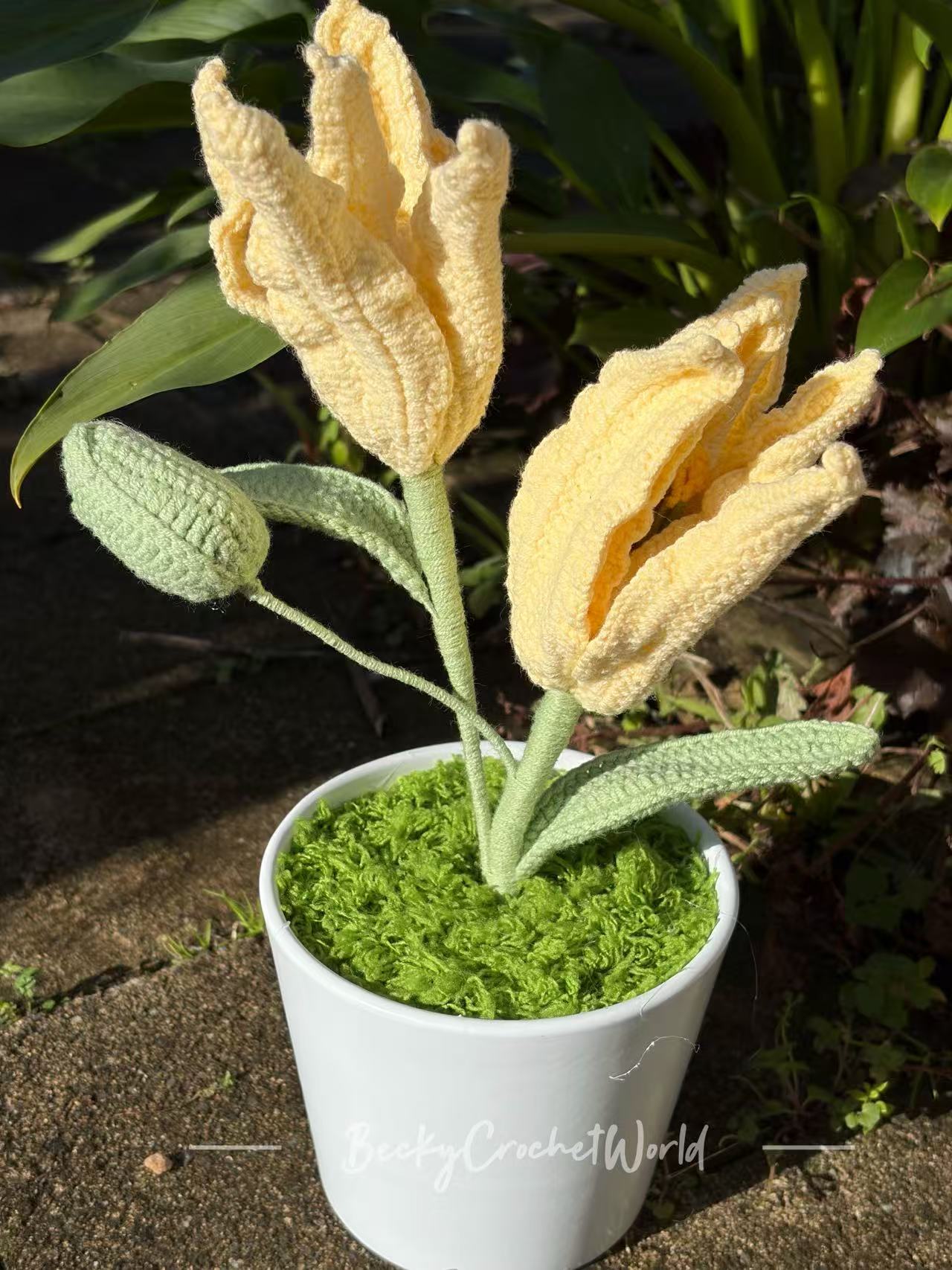 Lily Yellow