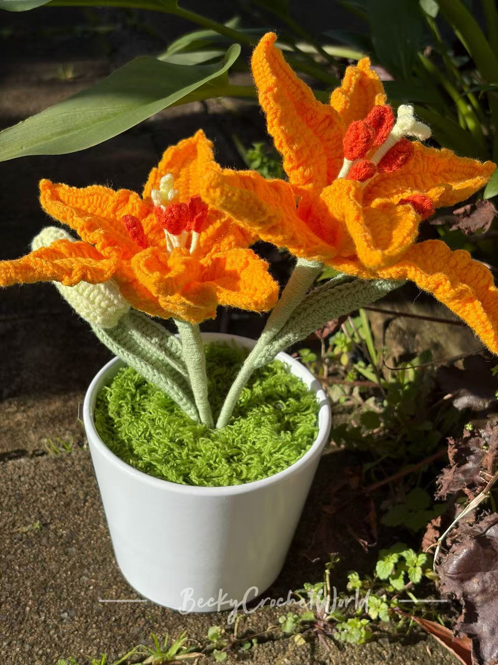 Lily Orange