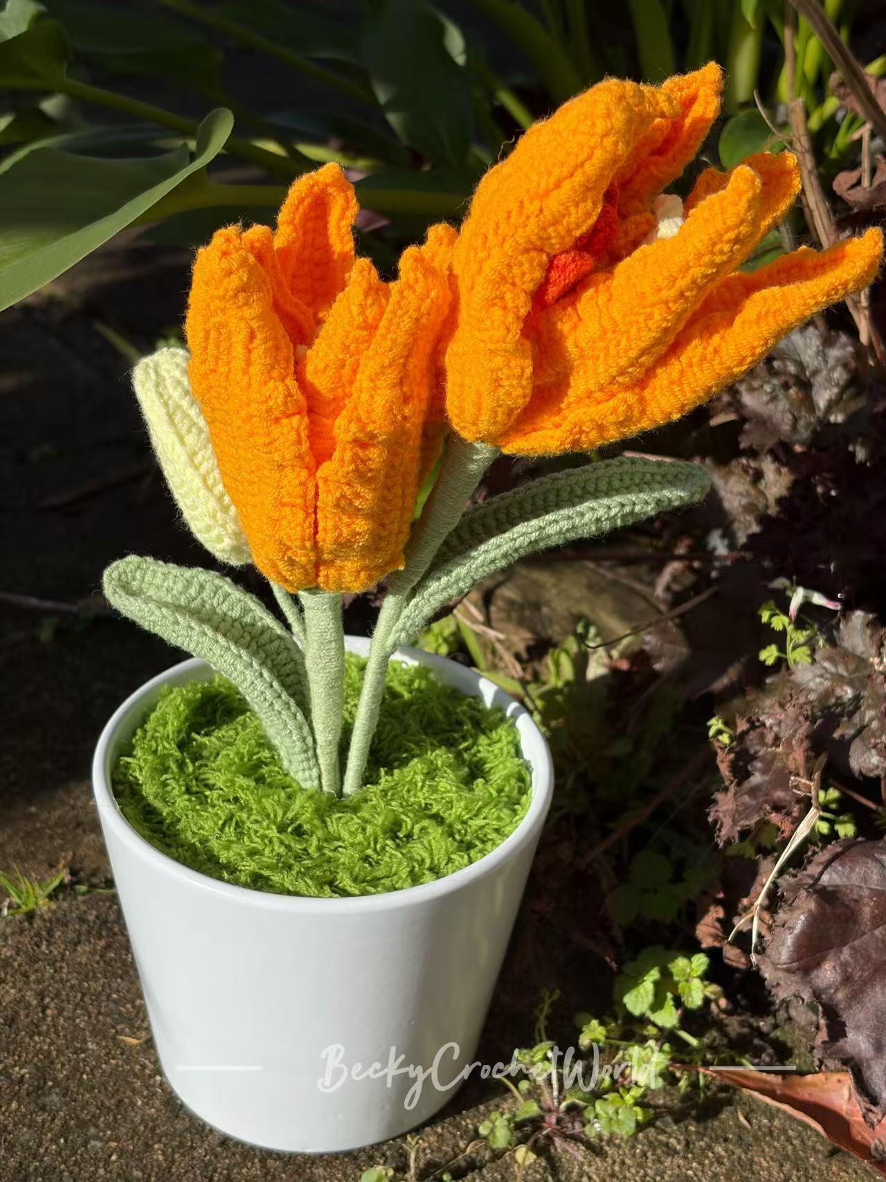Lily Orange