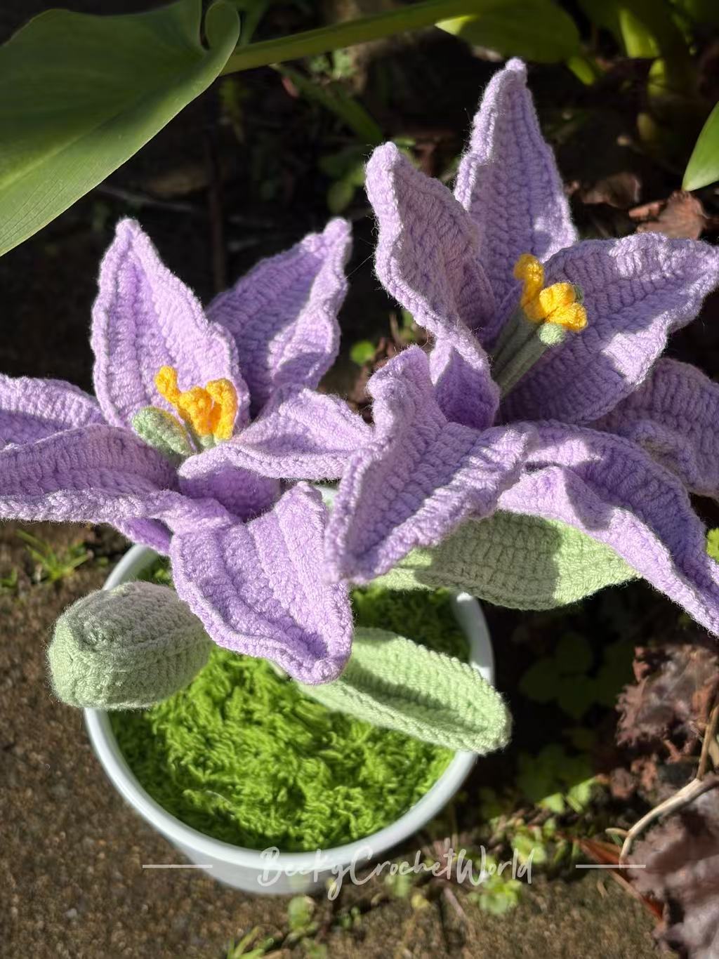 Lily Purple