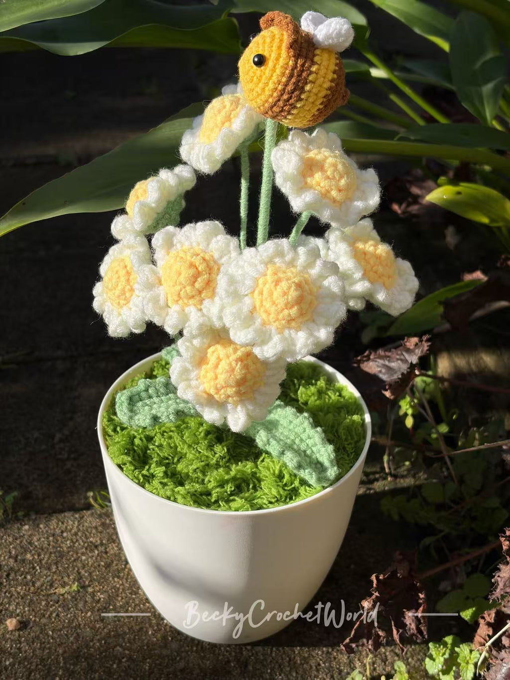 Daisies with a bee