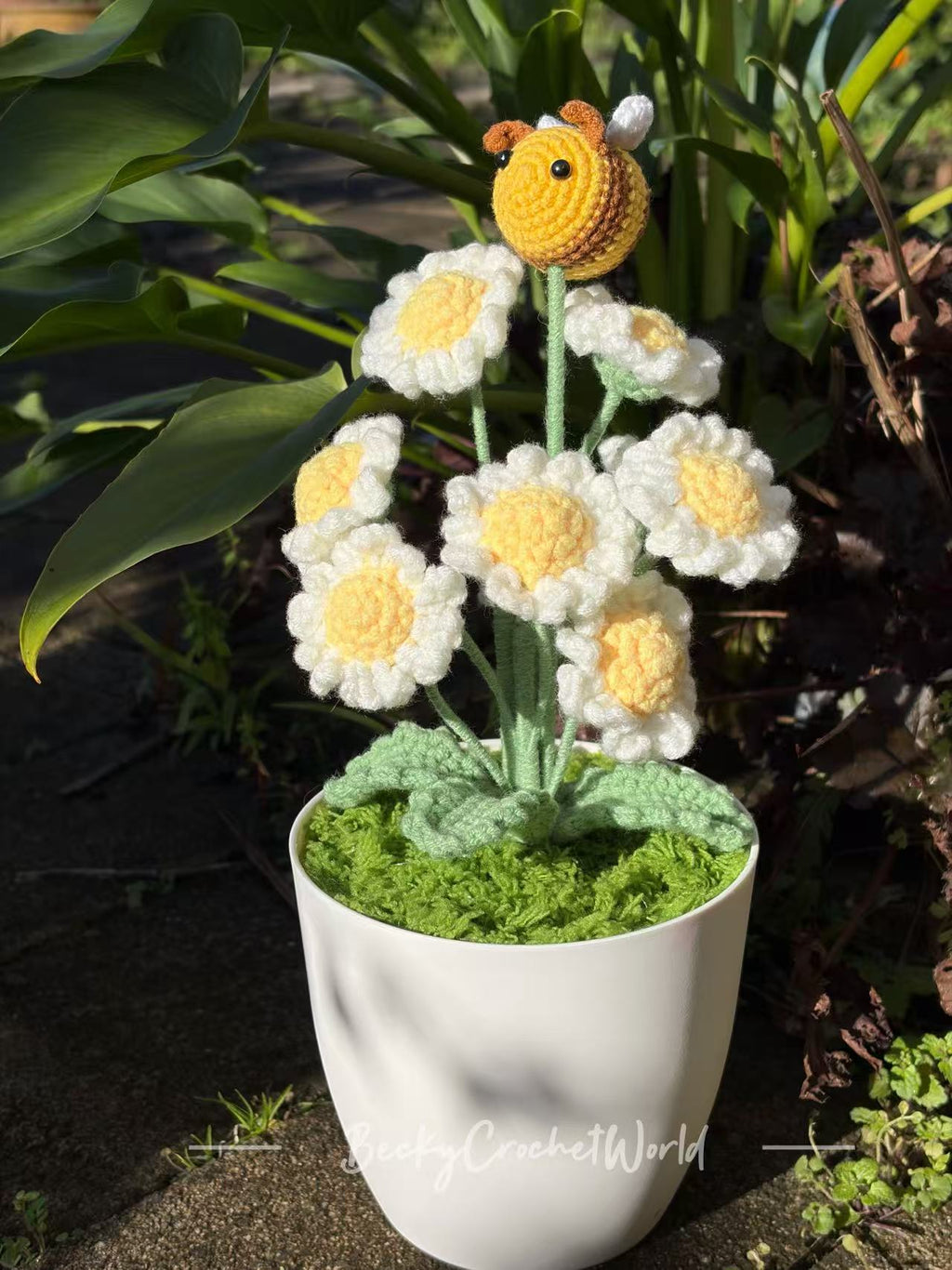 Daisies with a bee