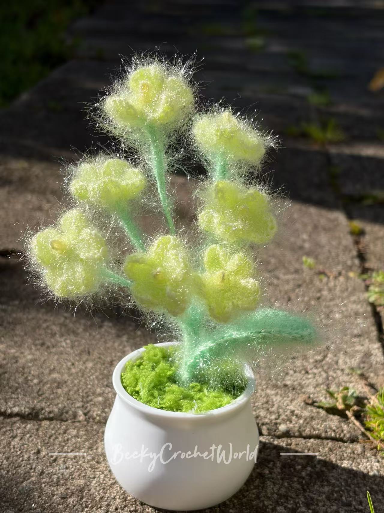 Baby's breath flower pot
