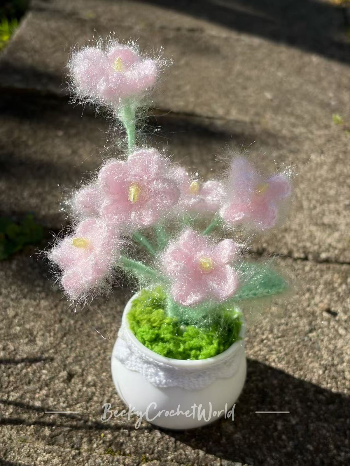 Baby's breath flower pot