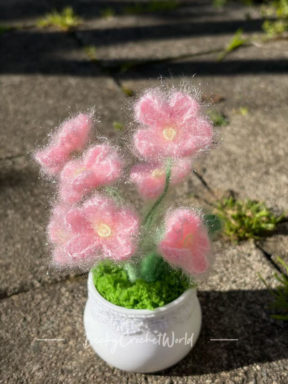 Baby's breath flower pot