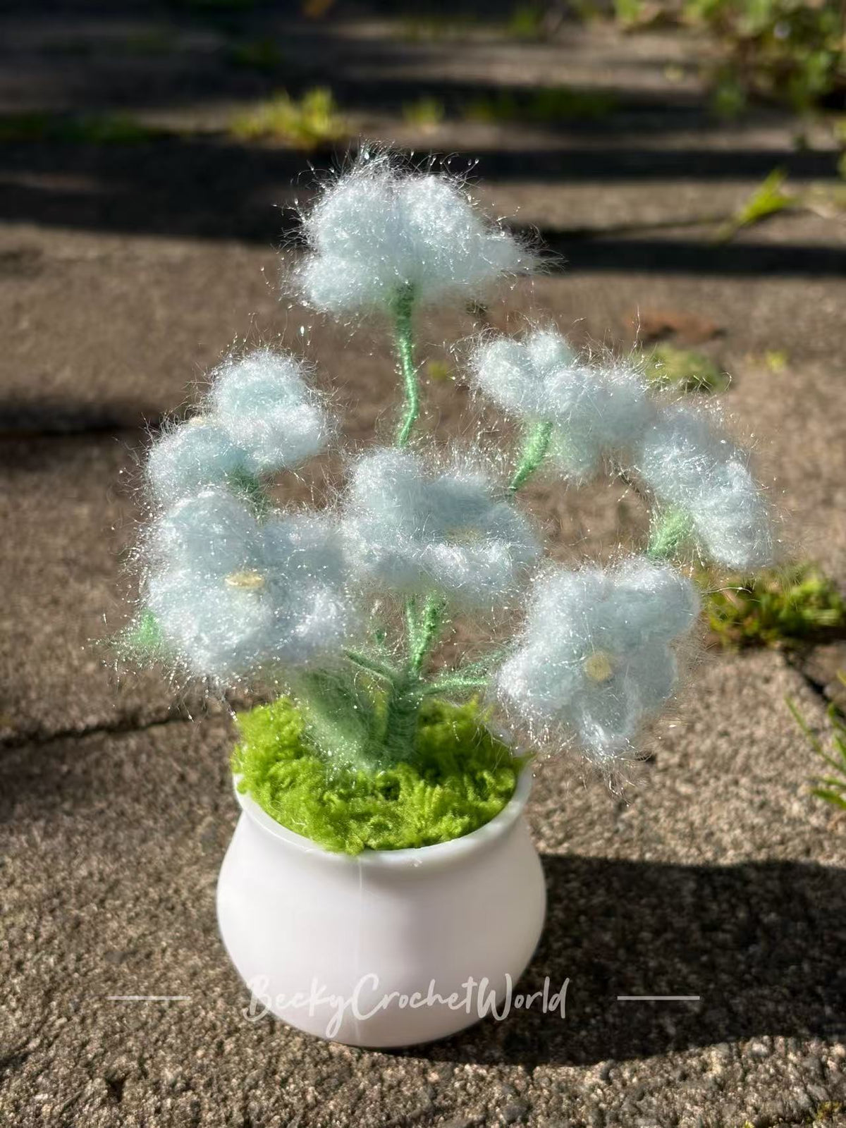 Baby's breath flower pot