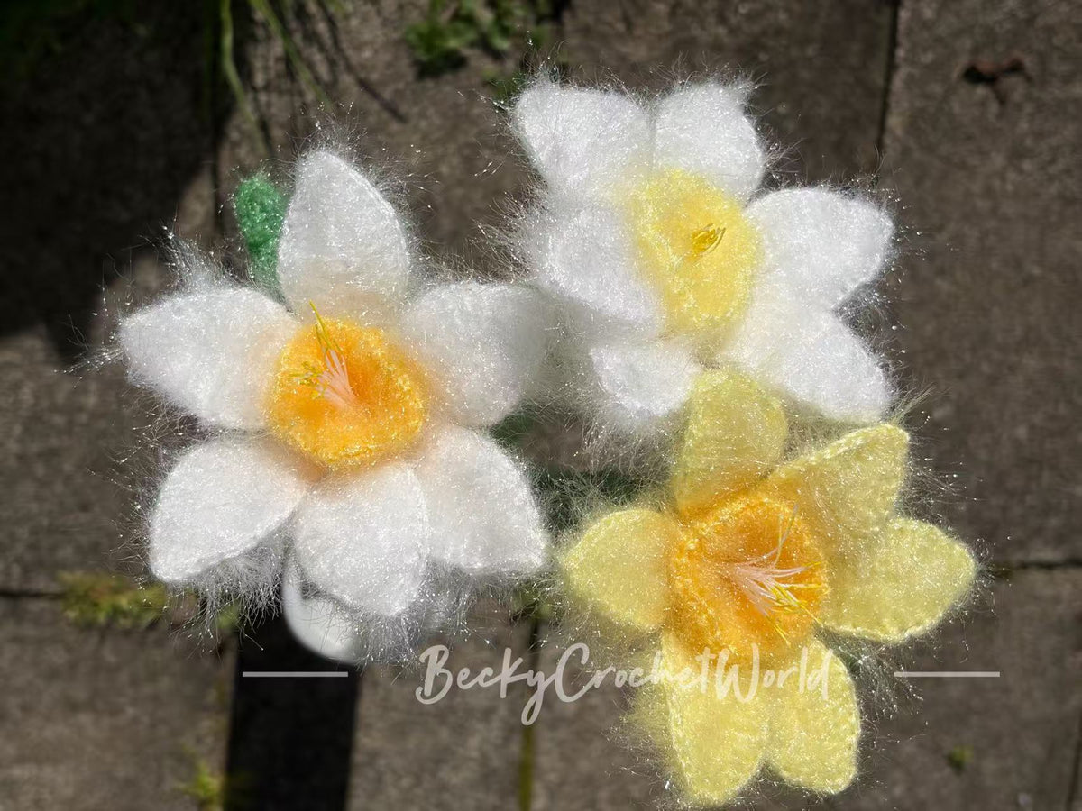 Bunch of Daffodils