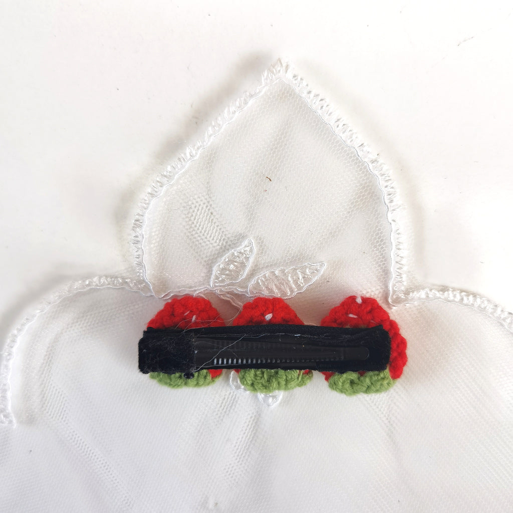 Hairclip 11