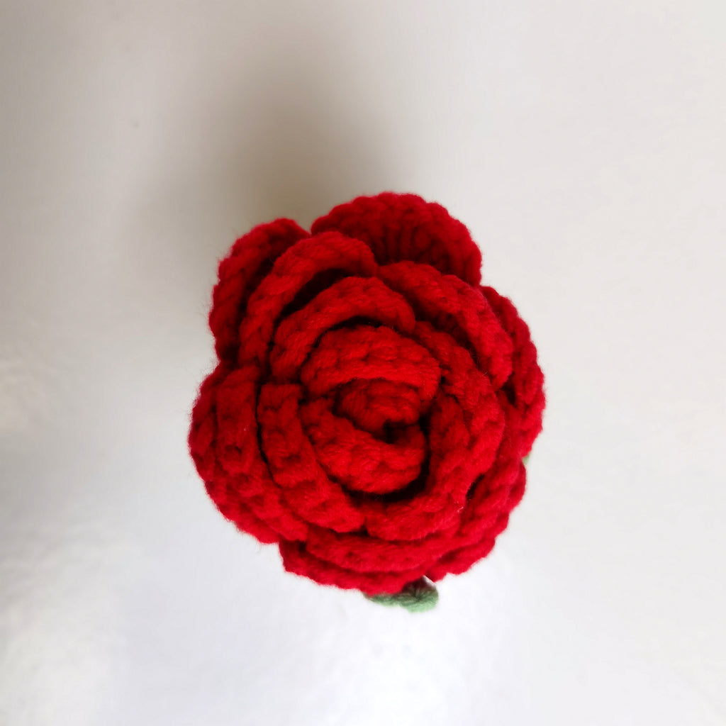 Red Rose
