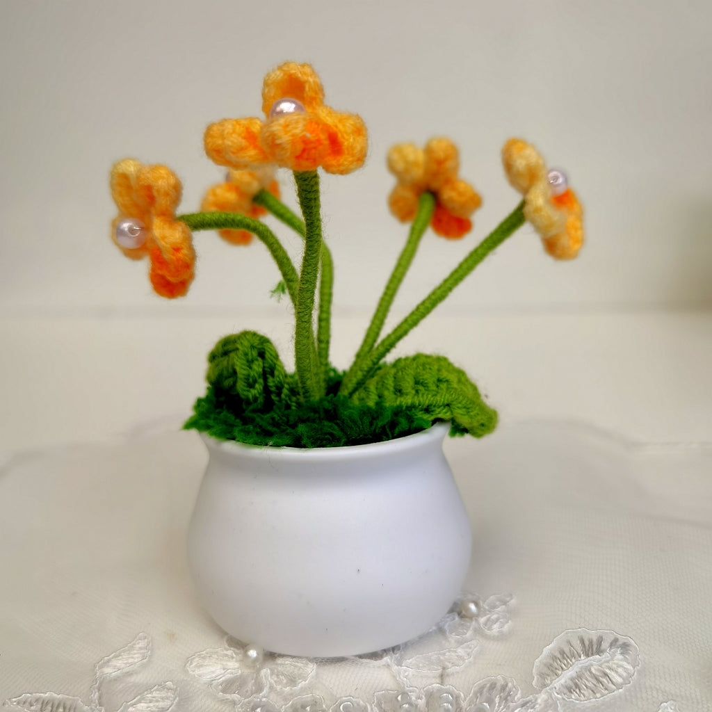 Myosotis pot