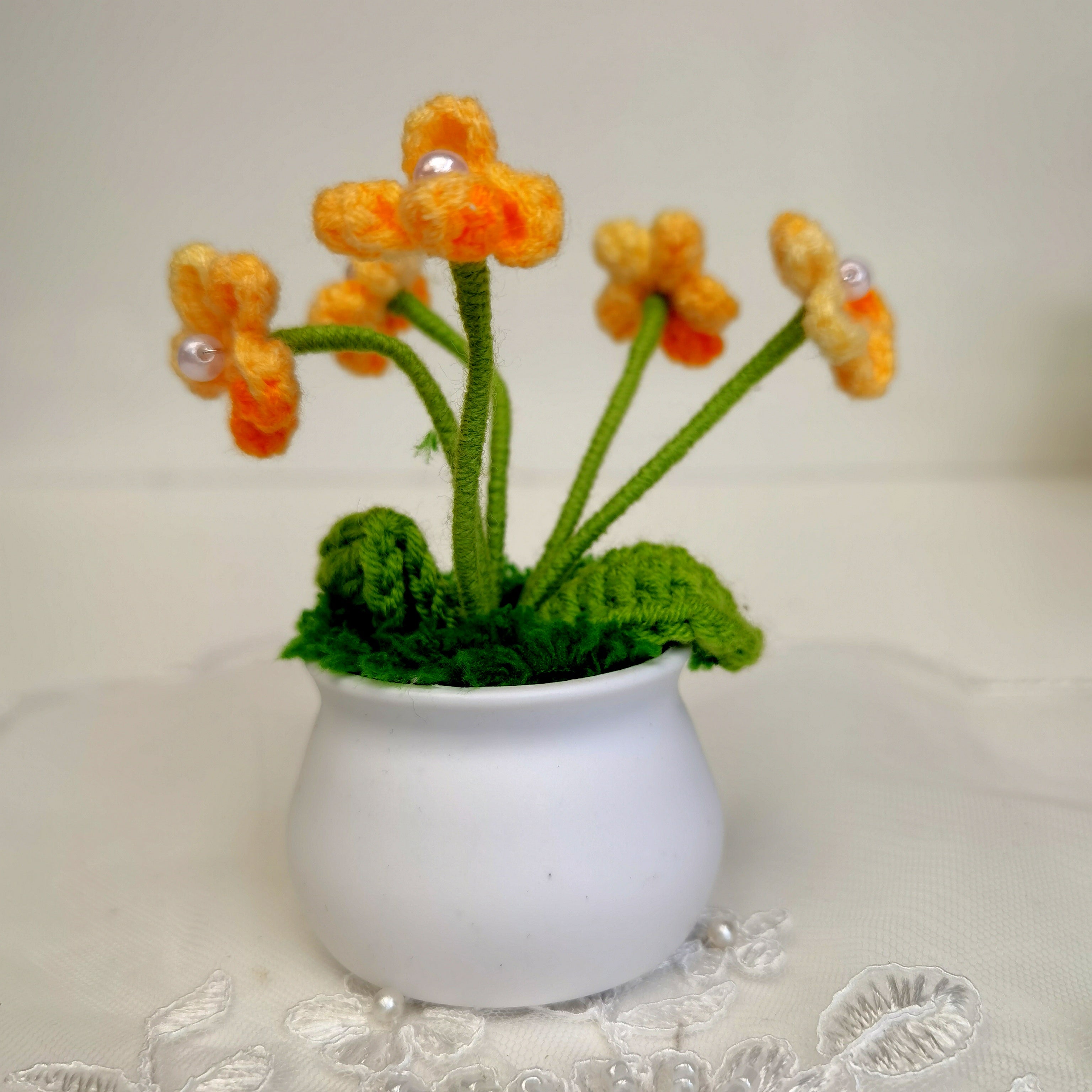 Myosotis pot