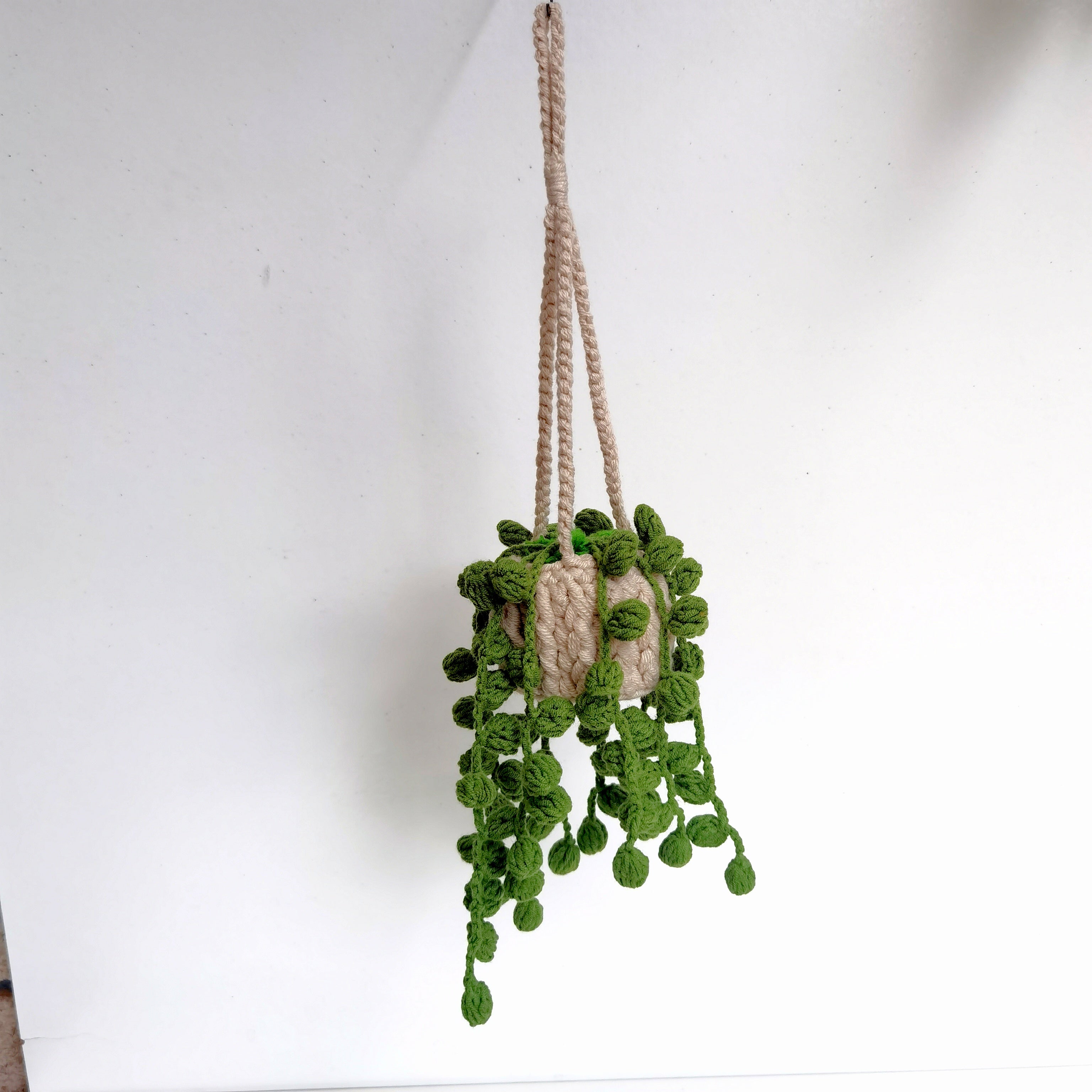 String of Pearls Hanging