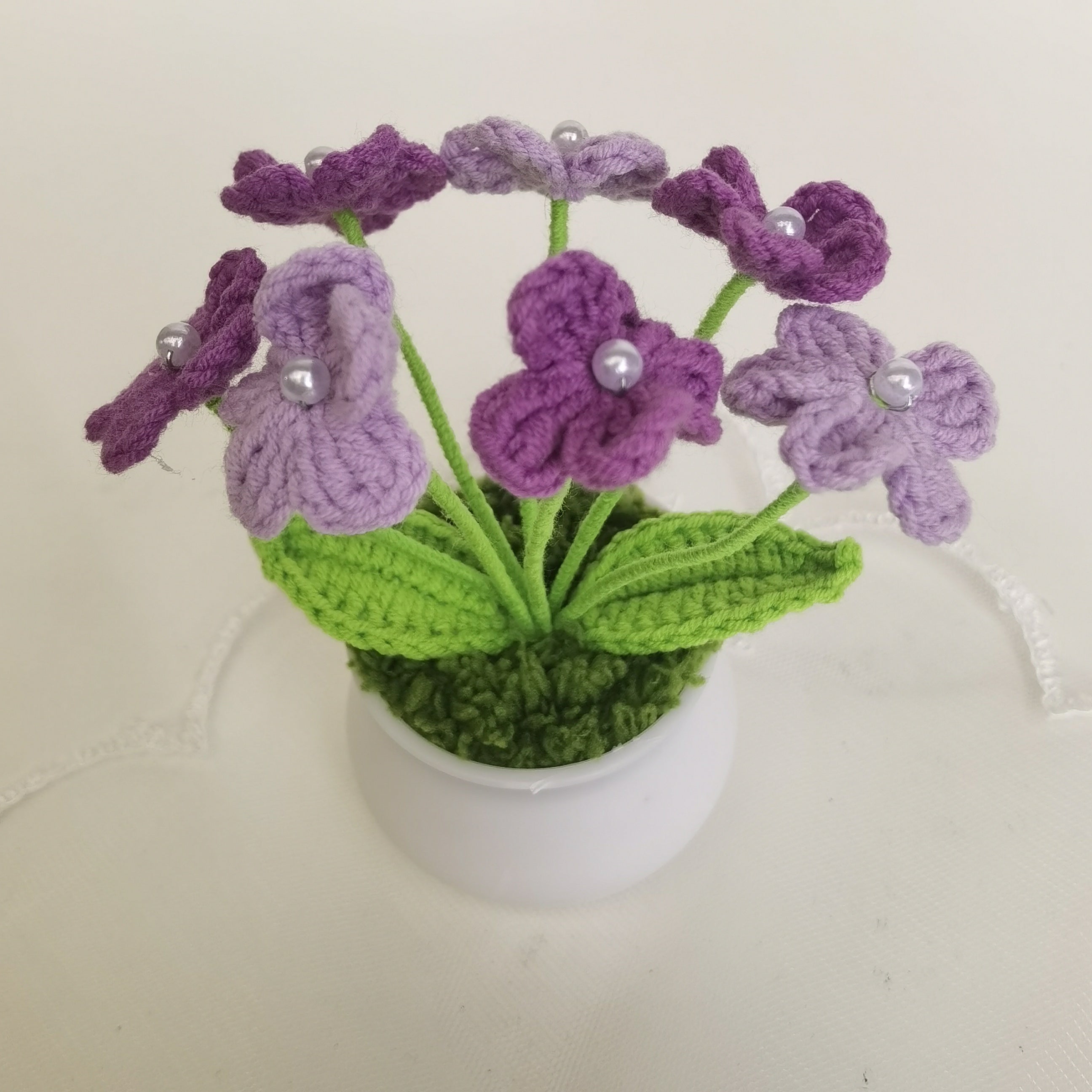 Myosotis pot