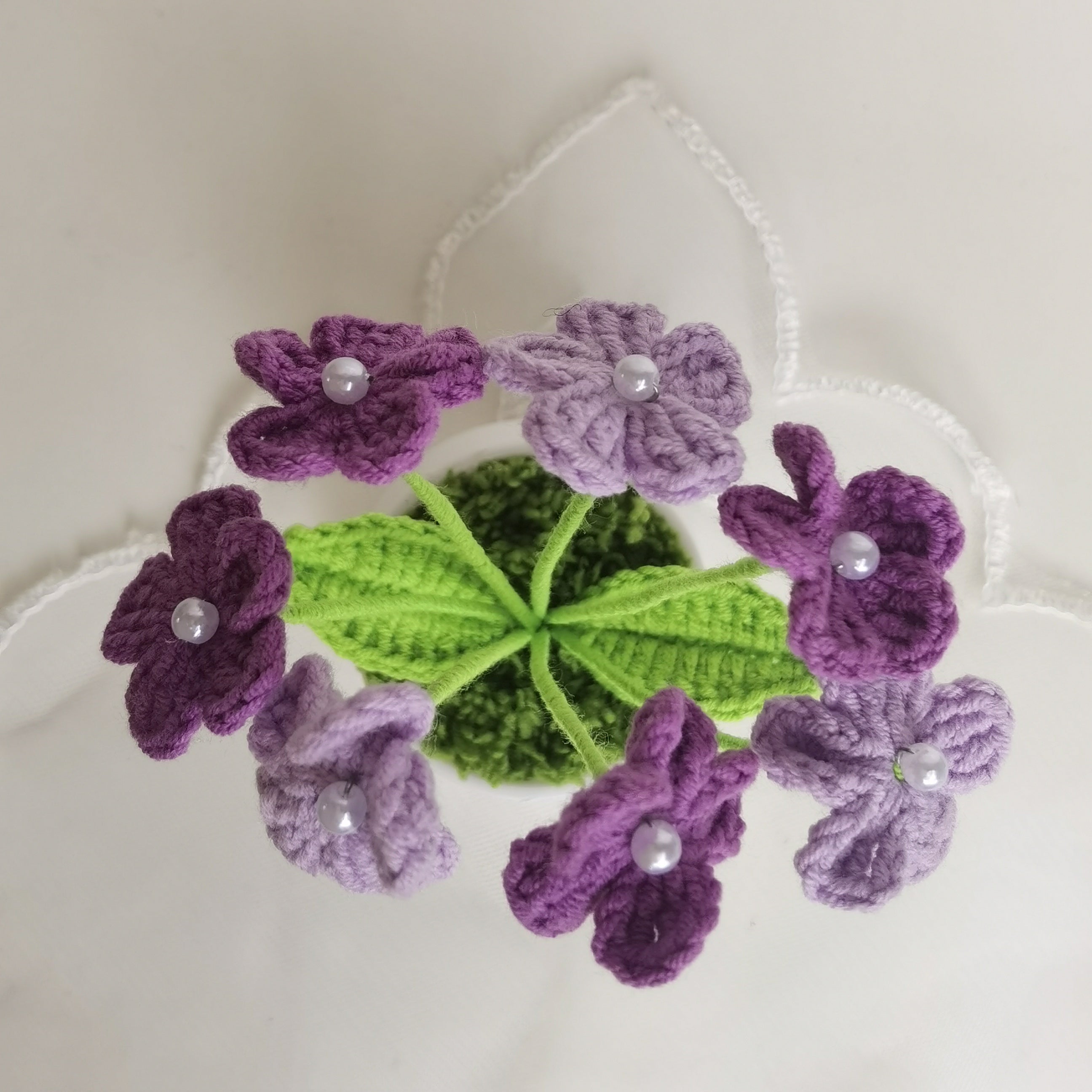 Myosotis pot
