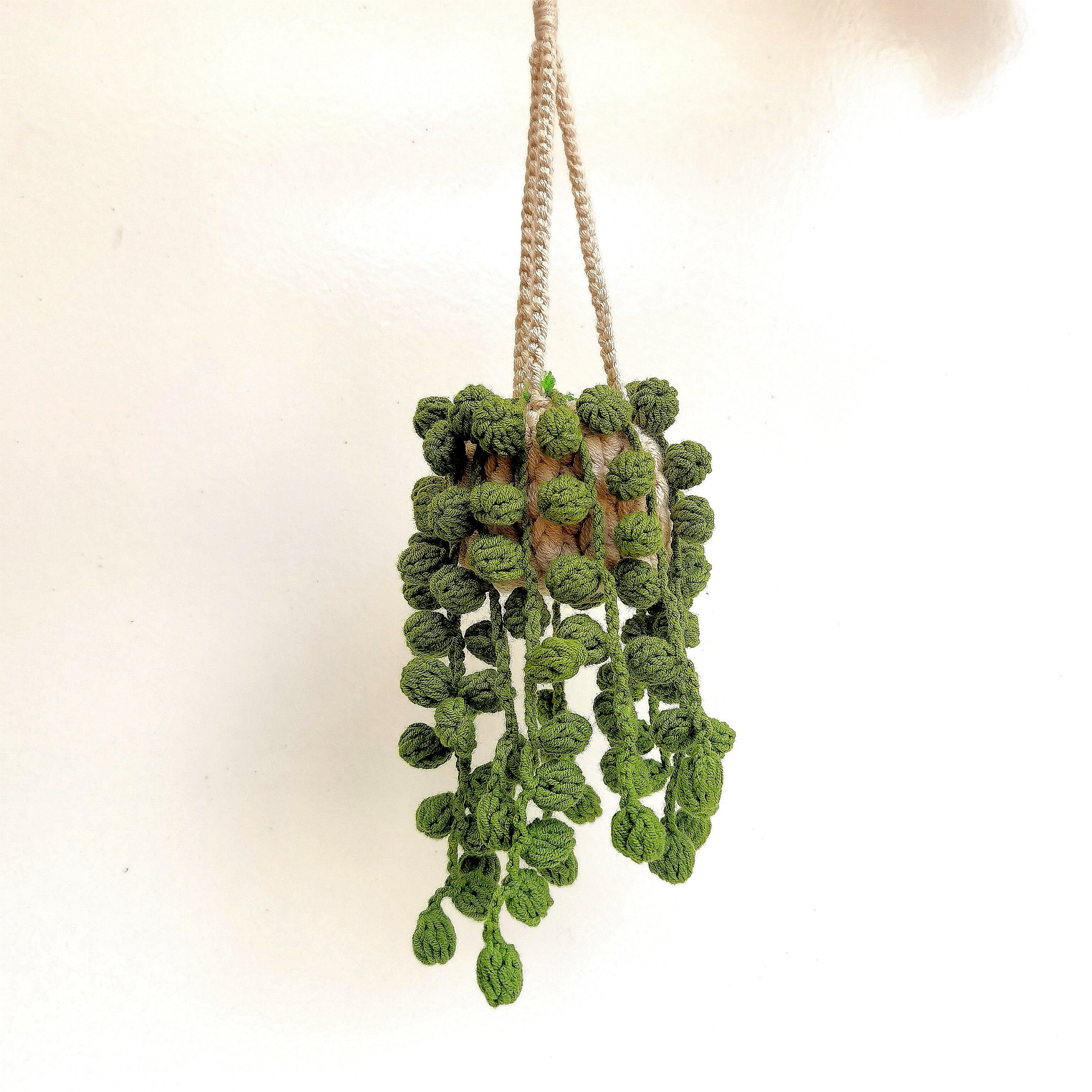 String of Pearls Hanging