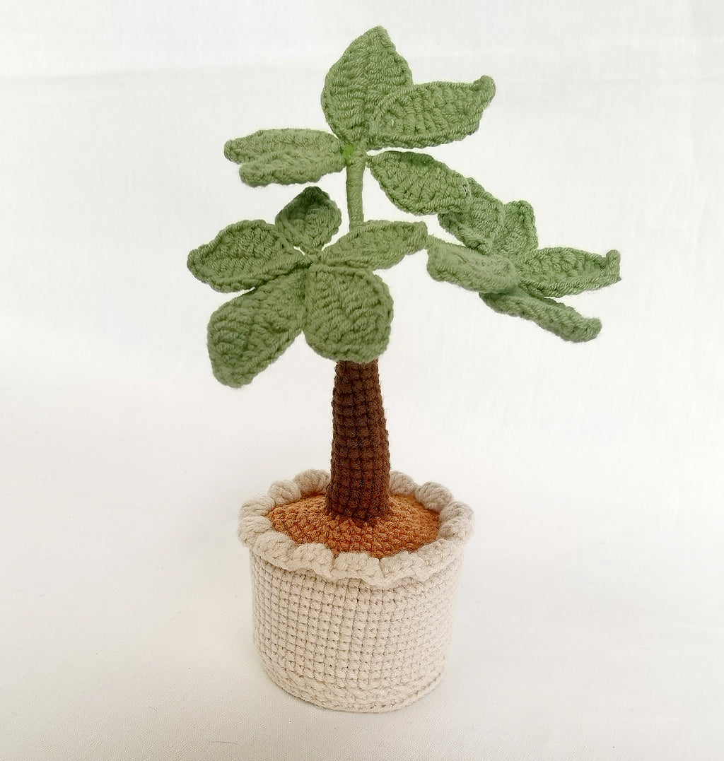 Plant