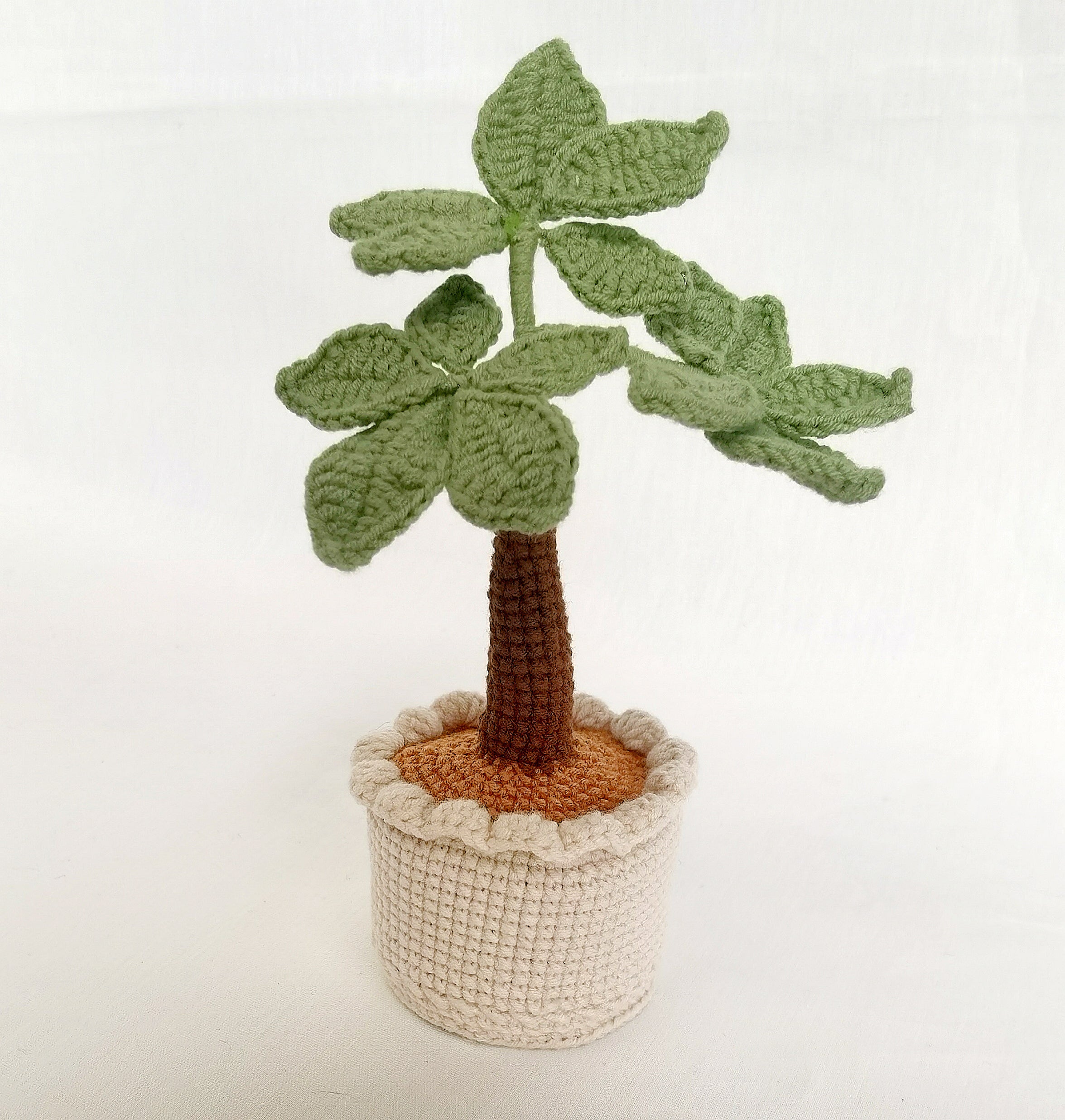 Plant