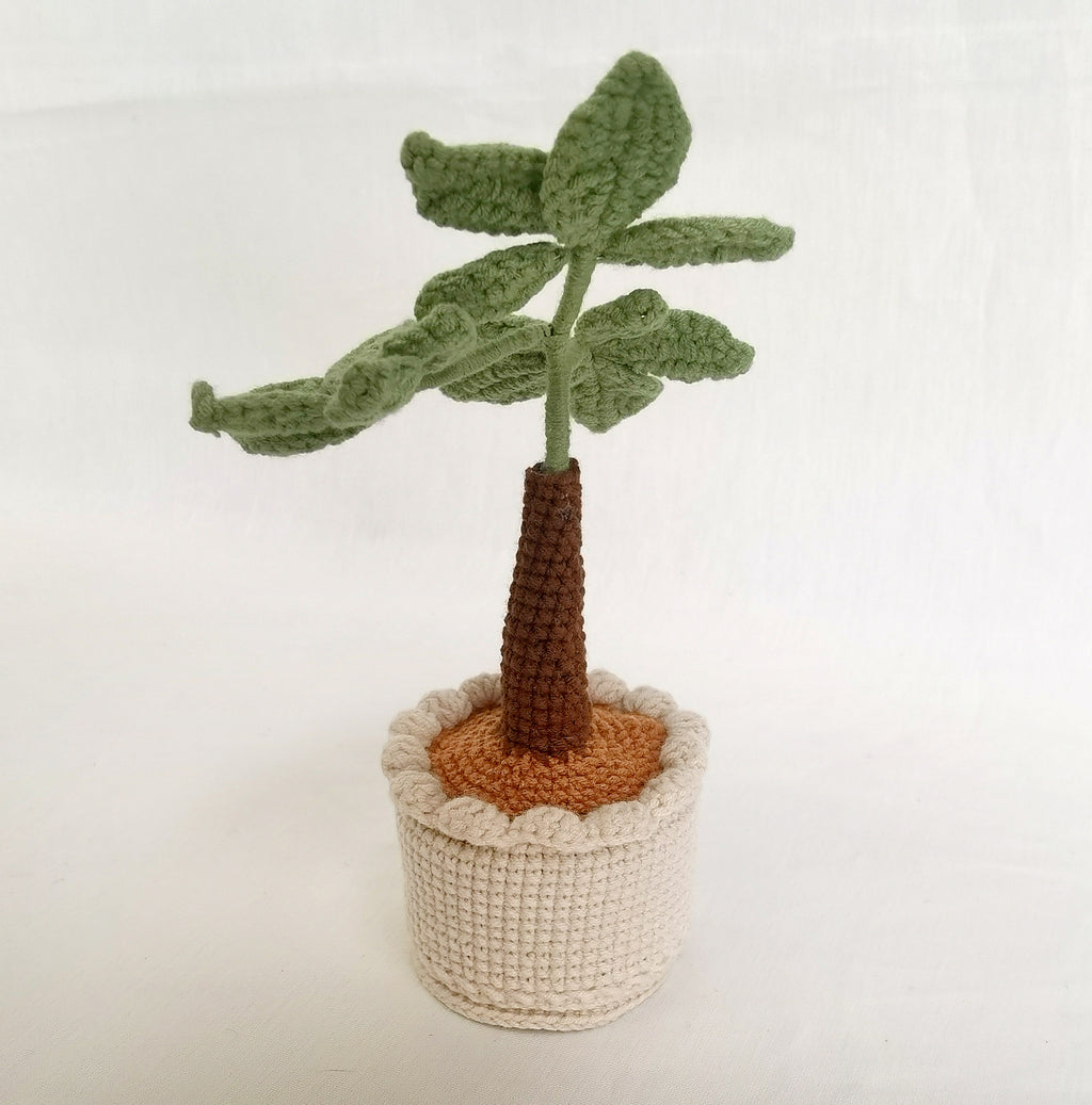 Plant