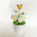 Daisies with a bee