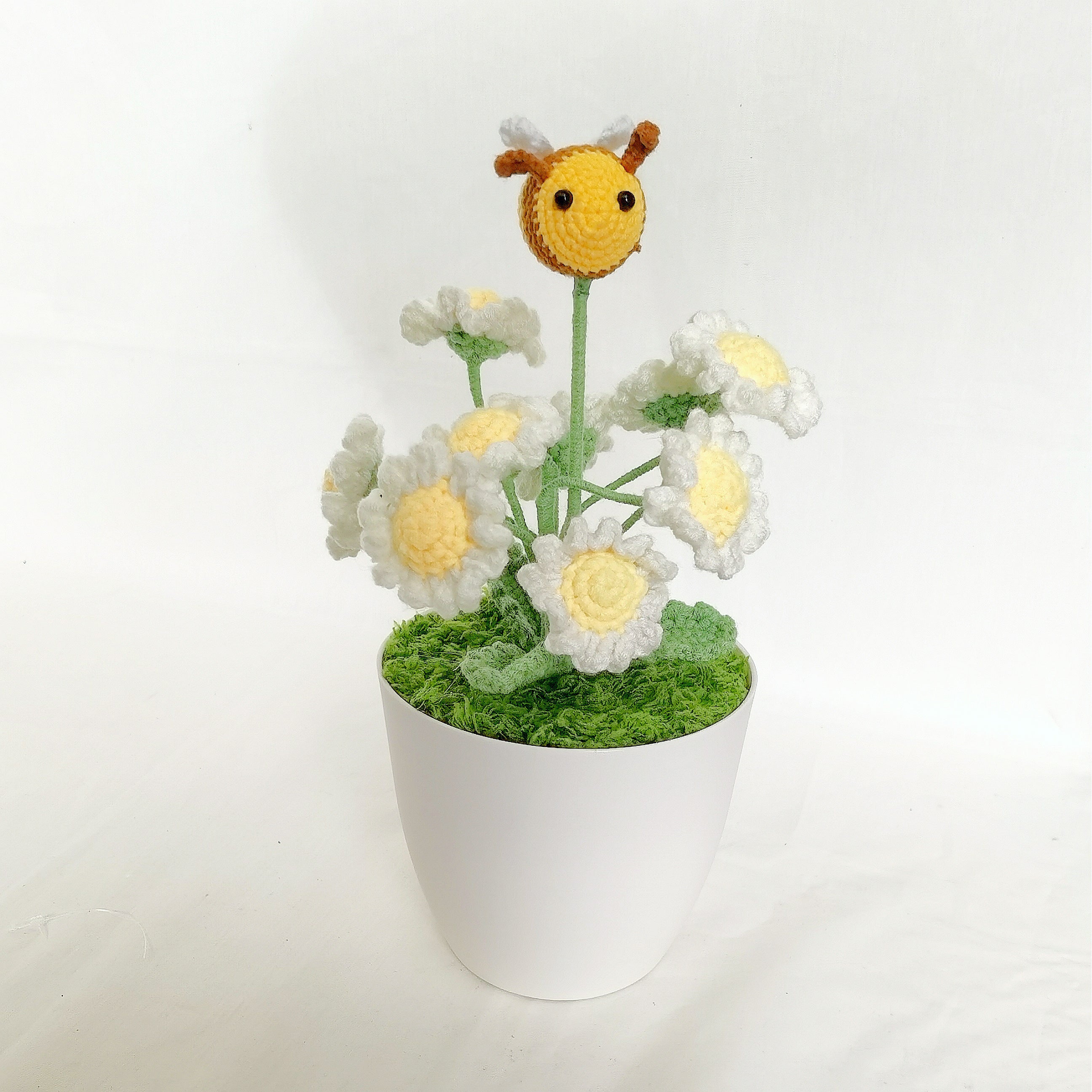 Daisies with a bee